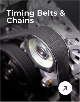 Timing Belts & Chains