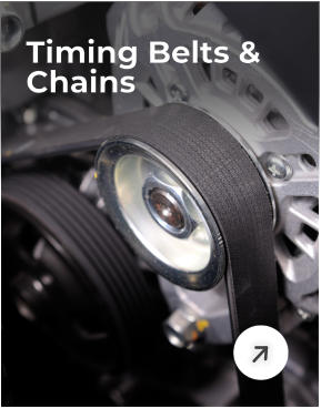 Timing Belts & Chains