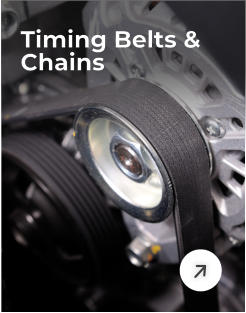 Timing Belts & Chains