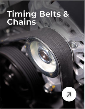 Timing Belts & Chains
