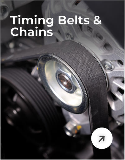 Timing Belts & Chains
